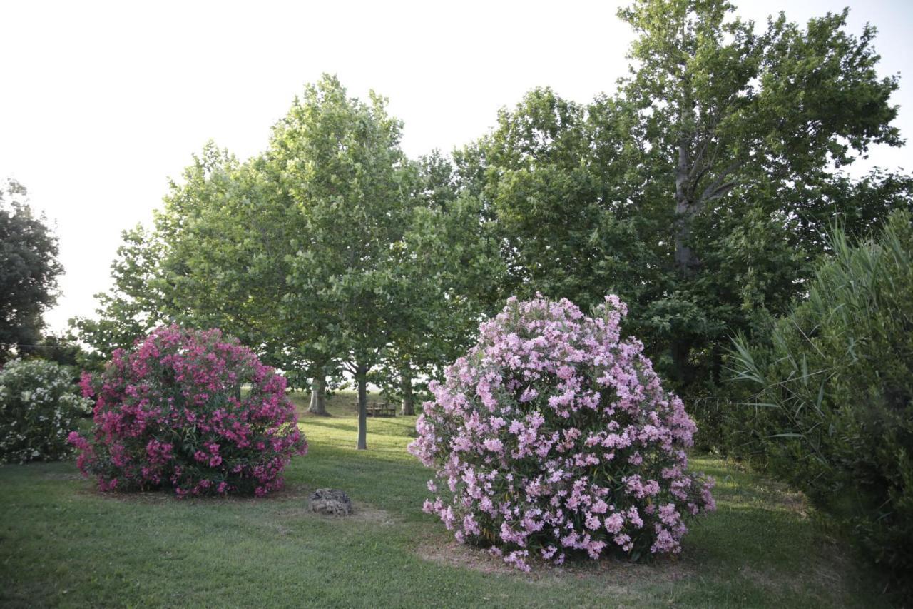 Agriturismo La Fonte Di San Girio Guest House Potenza Picena Bagian luar foto